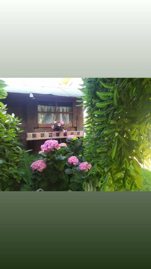 Al Casale B&B Casalserugo Ngoại thất bức ảnh